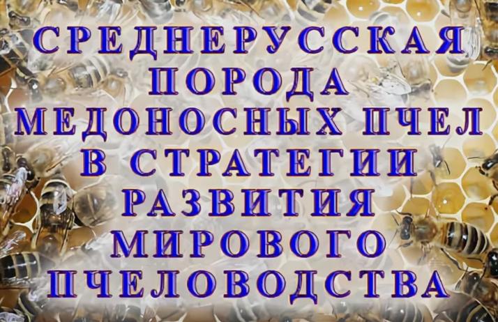 Конференция «Пчеловодство холодного и умеренного климата»